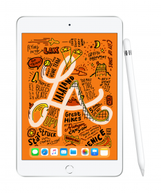 iPad Mini Frontansicht