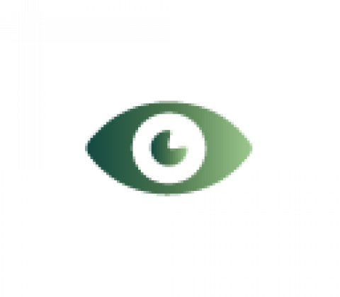 eye